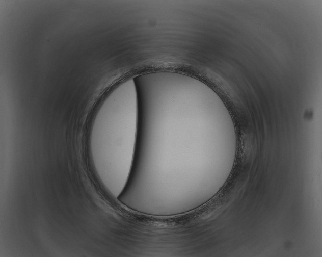 X0000097850494200803140900