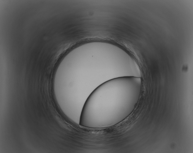 X0000097850495200803140900