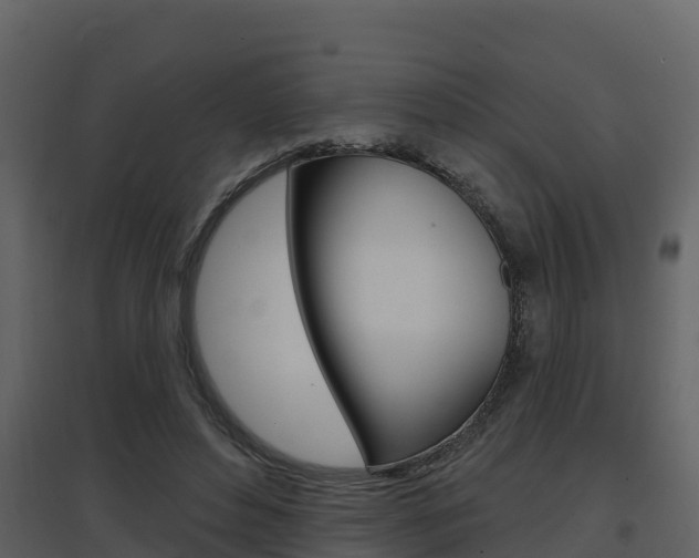 X0000097850496200803140900