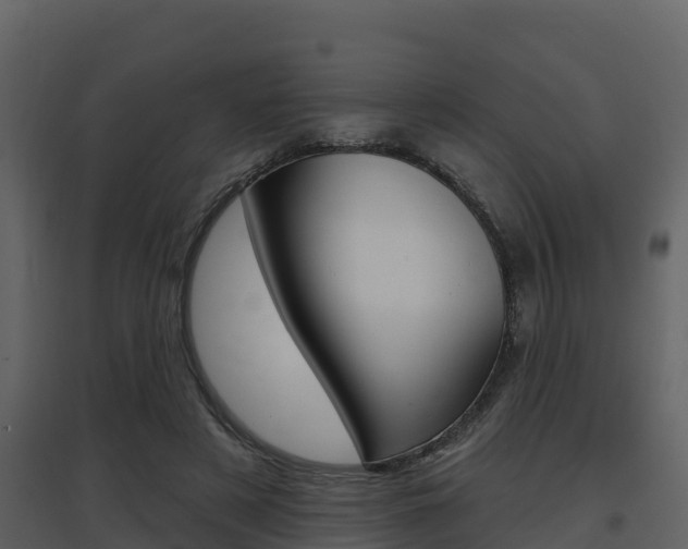 X0000097850497200803140900