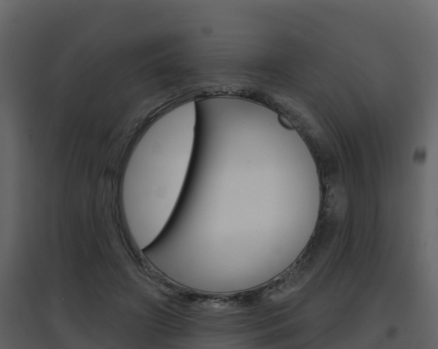 X0000097850498200803140900