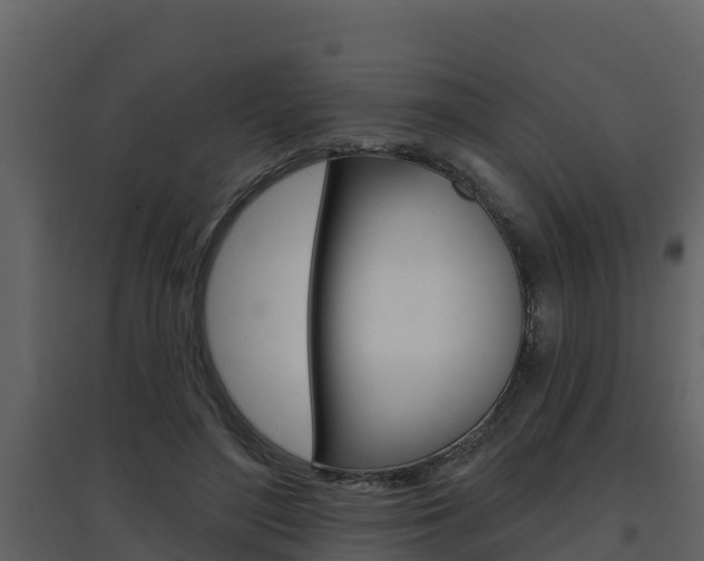 X0000097850500200803140900