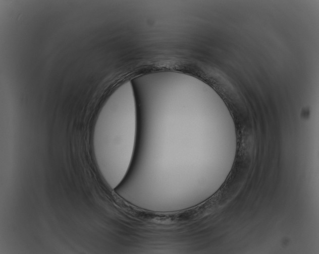 X0000097850502200803140900