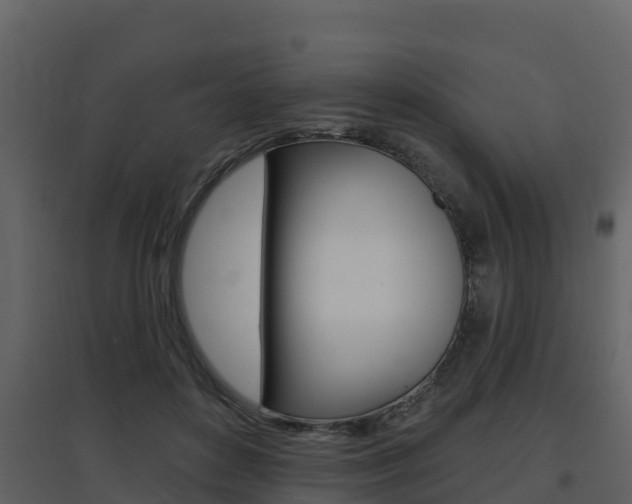 X0000097850504200803140900