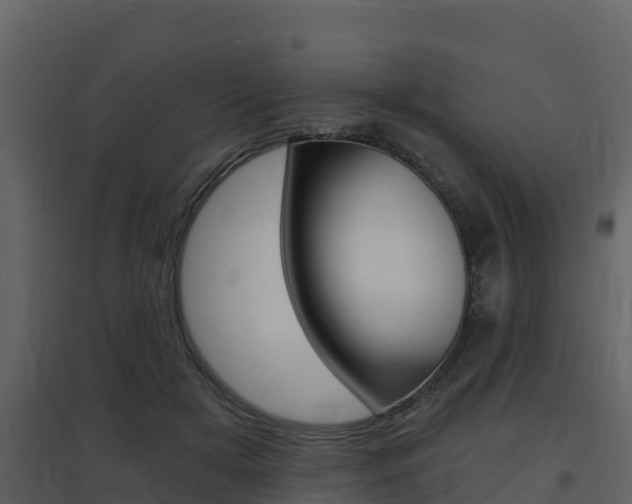 X0000097850505200803140900