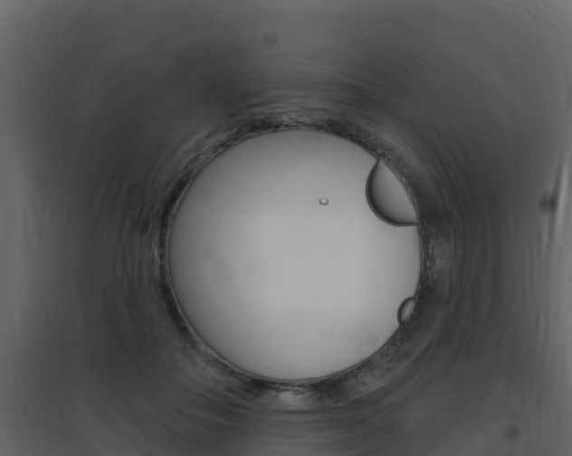X0000097850506200803140900