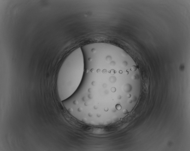 X0000097850507200803140900