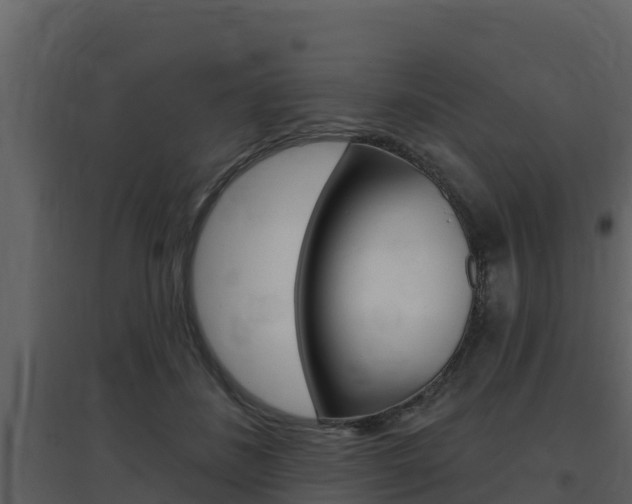X0000097850508200803140900