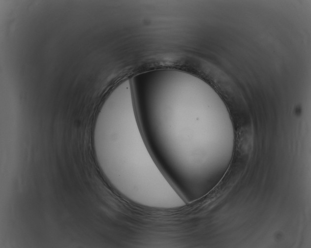 X0000097850509200803140900