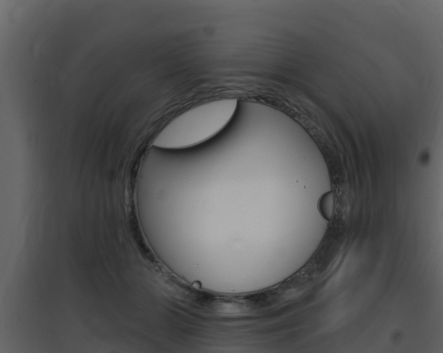 X0000097850510200803140900