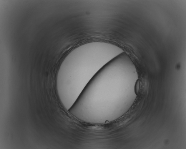 X0000097850511200803140900
