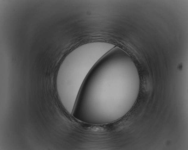 X0000097850512200803140900