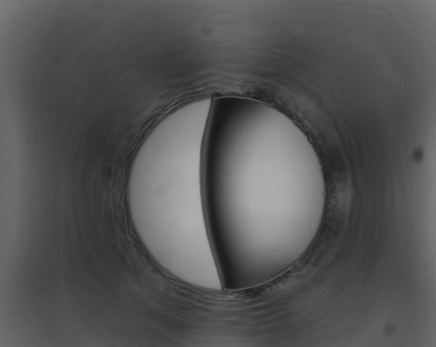 X0000097850513200803140900