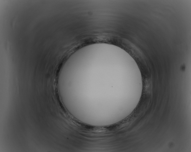 X0000097850514200803140900
