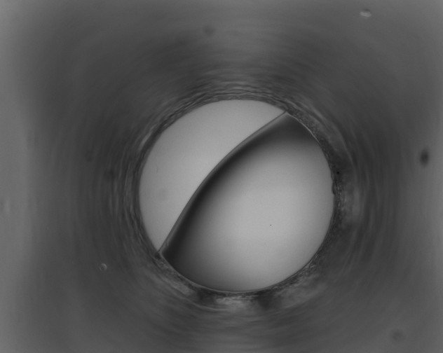 X0000097850516200803140900