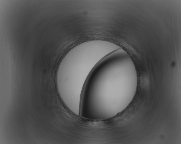 X0000097850517200803140900