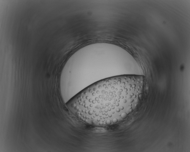 X0000097850519200803140900