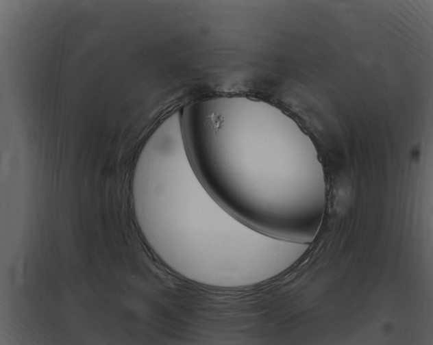X0000097850521200803140900
