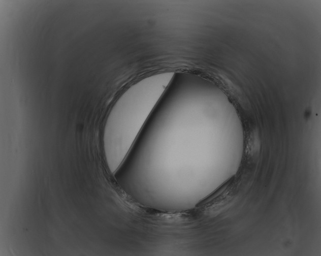 X0000097850524200803140900