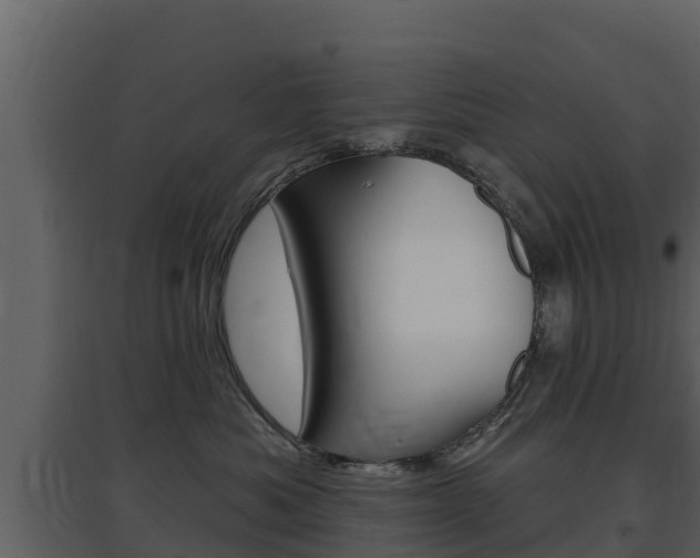 X0000097850525200803140900