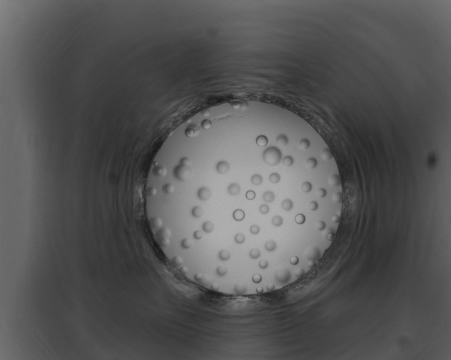 X0000097850527200803140900