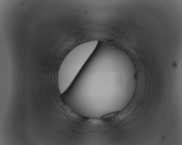 X0000097850528200803140900