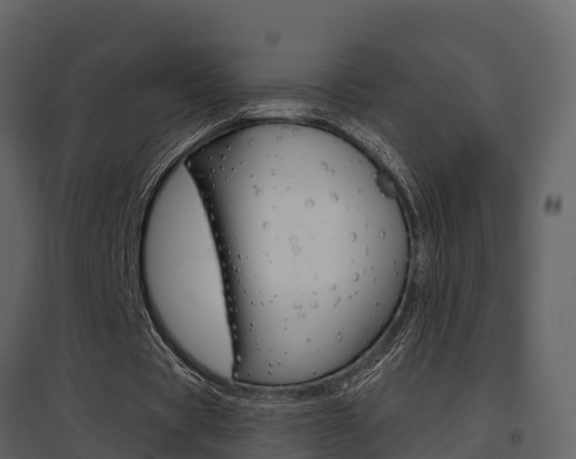 X0000097850529200803140859