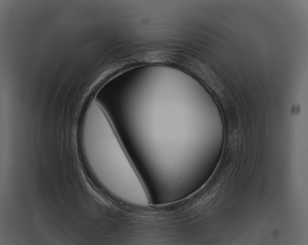 X0000097850530200803140859