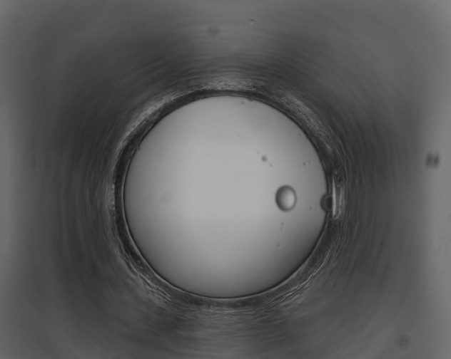 X0000097850531200803140859