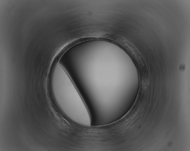 X0000097850532200803140859