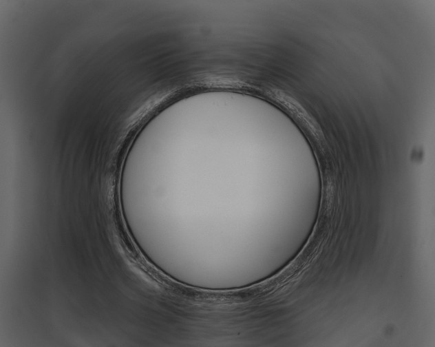 X0000097850533200803140859