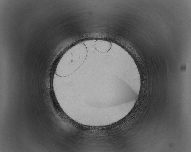 X0000097850534200803140859