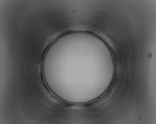 X0000097850537200803140859
