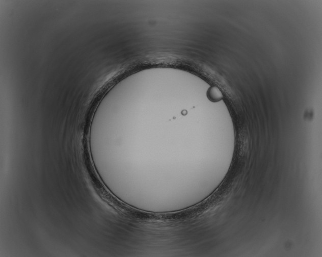 X0000097850538200803140859