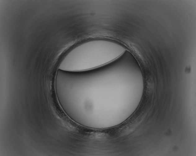 X0000097850539200803140859