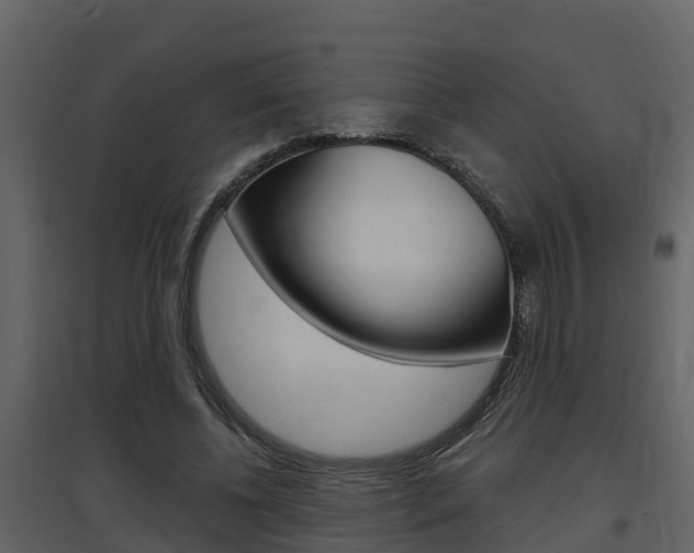 X0000097850540200803140859