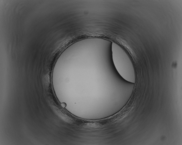 X0000097850541200803140859
