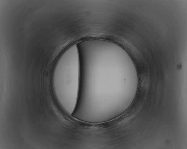 X0000097850542200803140859