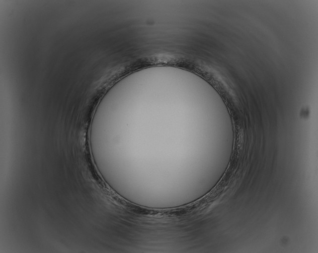 X0000097850545200803140859