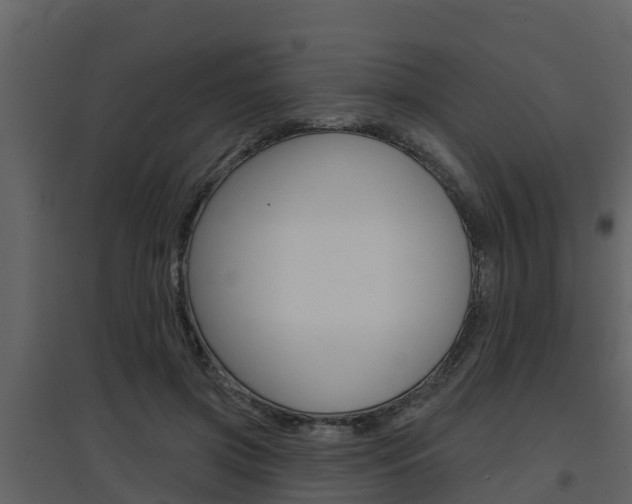 X0000097850549200803140859