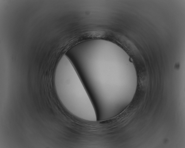 X0000097850551200803140859