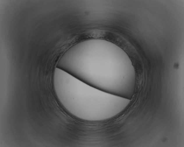 X0000097850553200803140859
