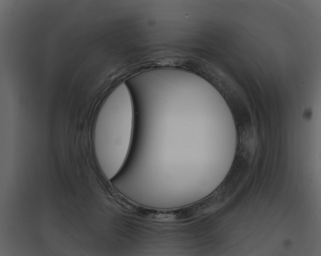 X0000097850554200803140859