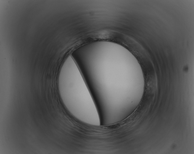 X0000097850555200803140859