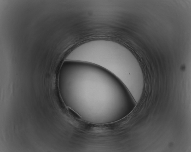 X0000097850556200803140859