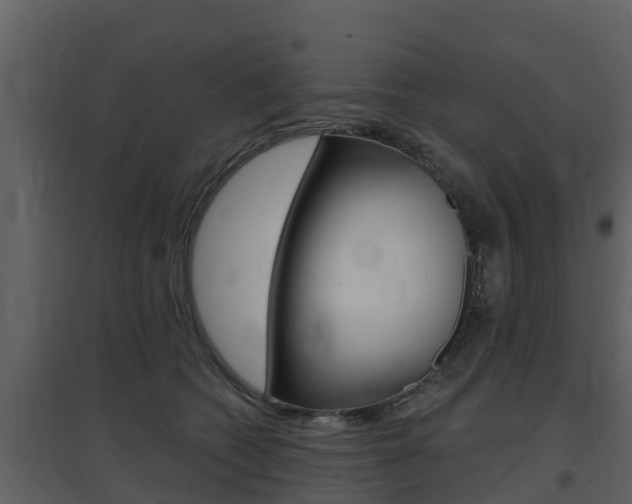X0000097850562200803140900