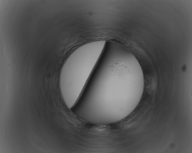 X0000097850563200803140900
