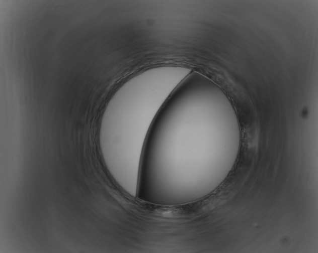X0000097850564200803140900