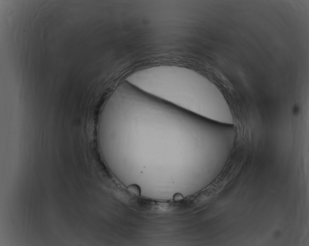 X0000097850565200803140900