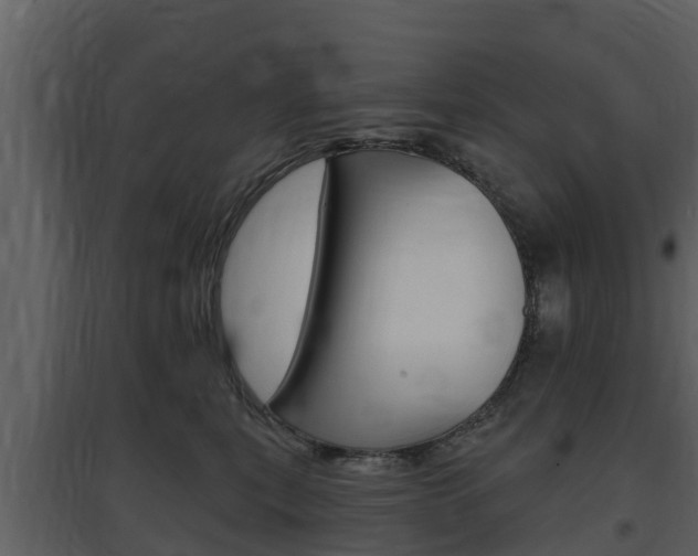 X0000097850567200803140900